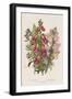 Foxglove (Digitalis Purpure) (Centr), C1885-null-Framed Giclee Print