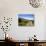 Foxglove-lined Track on Croaghaun, Comeragh Mountains, County Waterford, Ireland-null-Stretched Canvas displayed on a wall