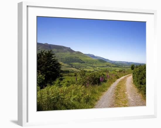 Foxglove-lined Track on Croaghaun, Comeragh Mountains, County Waterford, Ireland-null-Framed Photographic Print