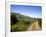 Foxglove-lined Track on Croaghaun, Comeragh Mountains, County Waterford, Ireland-null-Framed Photographic Print