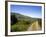 Foxglove-lined Track on Croaghaun, Comeragh Mountains, County Waterford, Ireland-null-Framed Photographic Print