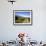 Foxglove-lined Track on Croaghaun, Comeragh Mountains, County Waterford, Ireland-null-Framed Photographic Print displayed on a wall