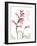 Foxglove Love-Albert Koetsier-Framed Art Print