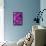 Foxglove-Jim Engelbrecht-Framed Stretched Canvas displayed on a wall