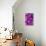 Foxglove-Jim Engelbrecht-Stretched Canvas displayed on a wall