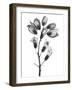 Foxglove-Albert Koetsier-Framed Art Print