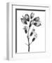 Foxglove-Albert Koetsier-Framed Art Print