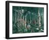 Foxgloves, 1909-Nikolai Astrup-Framed Giclee Print