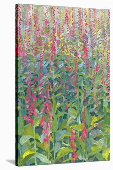 Foxgloves, 2014-Leigh Glover-Stretched Canvas