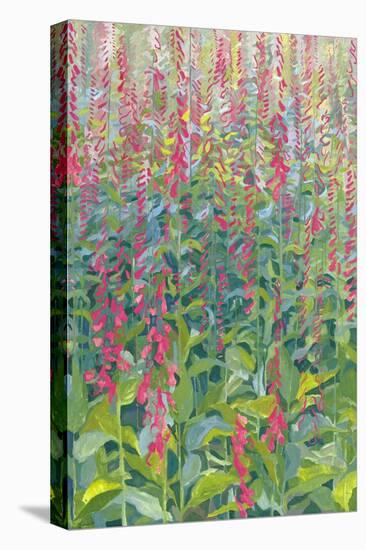 Foxgloves, 2014-Leigh Glover-Stretched Canvas
