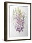 Foxgloves and White Campanulas,2012-Joan Thewsey-Framed Giclee Print