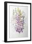 Foxgloves and White Campanulas,2012-Joan Thewsey-Framed Giclee Print