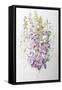 Foxgloves and White Campanulas,2012-Joan Thewsey-Framed Stretched Canvas