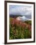 Foxgloves at Cascade Head, The Nature Conservancy, Tillamook County, Oregon, USA-null-Framed Photographic Print