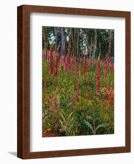 Foxgloves, c.1916-Georges Lacombe-Framed Giclee Print