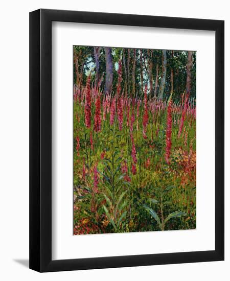 Foxgloves, c.1916-Georges Lacombe-Framed Giclee Print