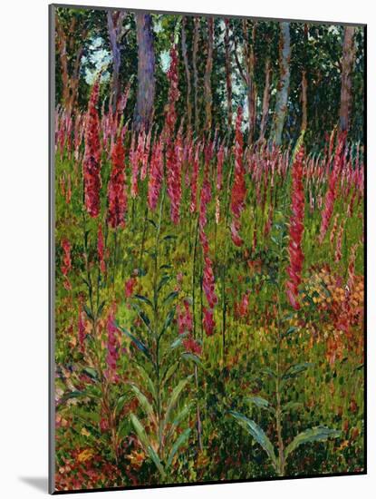 Foxgloves, c.1916-Georges Lacombe-Mounted Giclee Print