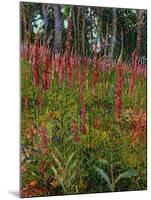 Foxgloves, c.1916-Georges Lacombe-Mounted Giclee Print