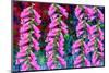 Foxgloves on parade-Claire Westwood-Mounted Art Print