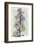 Foxgloves Pale-Ania Zwara-Framed Photographic Print