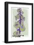 Foxgloves Pale-Ania Zwara-Framed Photographic Print