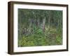 Foxgloves-Susan Ryder-Framed Giclee Print