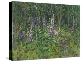 Foxgloves-Susan Ryder-Stretched Canvas