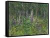 Foxgloves-Susan Ryder-Framed Stretched Canvas