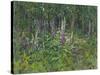 Foxgloves-Susan Ryder-Stretched Canvas