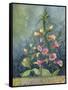 Foxgloves-Fiona Stokes-Gilbert-Framed Stretched Canvas