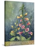 Foxgloves-Fiona Stokes-Gilbert-Stretched Canvas