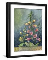 Foxgloves-Fiona Stokes-Gilbert-Framed Giclee Print