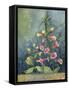 Foxgloves-Fiona Stokes-Gilbert-Framed Stretched Canvas
