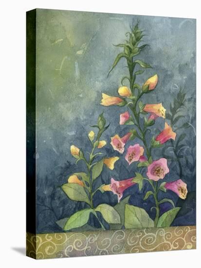 Foxgloves-Fiona Stokes-Gilbert-Stretched Canvas