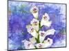 Foxgloves-Ata Alishahi-Mounted Giclee Print