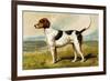 Foxhound-Vero Shaw-Framed Premium Giclee Print