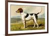 Foxhound-Vero Shaw-Framed Premium Giclee Print