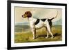 Foxhound-Vero Shaw-Framed Premium Giclee Print