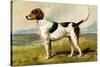 Foxhound-Vero Shaw-Stretched Canvas