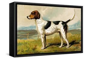 Foxhound-Vero Shaw-Framed Stretched Canvas