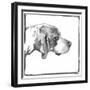 Foxhound-null-Framed Art Print