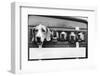 Foxhounds in a Trailer-null-Framed Photographic Print