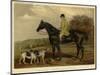 Foxhunting-null-Mounted Photographic Print