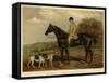 Foxhunting-null-Framed Stretched Canvas