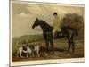 Foxhunting-null-Mounted Photographic Print