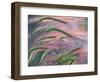 Foxtail Barley Backilt Near East Glacier, Montana, USA-Chuck Haney-Framed Photographic Print