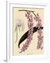 Foxtail Orchids, A?des Lobbii-John Nugent Fitch-Framed Giclee Print