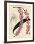 Foxtail Orchids, A?des Lobbii-John Nugent Fitch-Framed Giclee Print