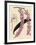 Foxtail Orchids, A?des Lobbii-John Nugent Fitch-Framed Giclee Print