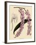 Foxtail Orchids, A?des Lobbii-John Nugent Fitch-Framed Giclee Print